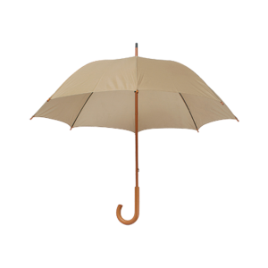 Santy umbrella