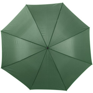 Polyester (190T) umbrella Andy green