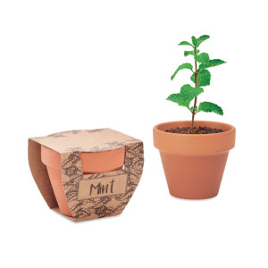 MINT POT wood